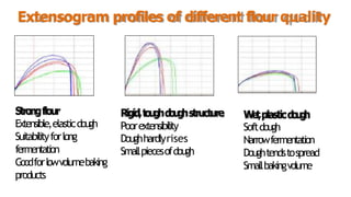 Extensogram profiles of different flour quality
Strongflour
Extensible,elasticdough
Suitabilityforlong
fermentation
Goodforlowvolumebaking
products
Rigid,t
o
u
g
hd
o
u
g
hstructure
Poorextensibility
Doughhardlyrises
Smallpiecesofdough
W
e
t
,plasticd
o
u
g
h
Softdough
Narrowfermentation
Doughtendstospread
Smallbakingvolume
 