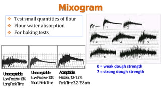 Mixogram
 Test small quantities of flour
 Flour water absorption
 For baking tests
0 = weak dough strength
7 = strong dough strength
Unacceptable
LowProtein<10%
LongPeakT
i
m
e
Unacceptable
LowProtein<10%
ShortPeakT
i
m
e
Acceptable
Protein,1
0-13%
PeakT
i
m
e2.2-2.8m
i
n
 