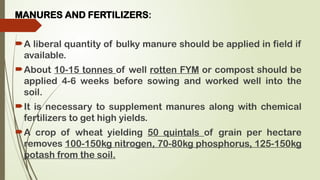 Fym Well Rotted Crop production technology of wheat includes origin, history etc | PPTX