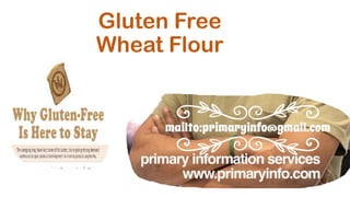 Gluten Free
Wheat Flour
Primaryinfo.com
 