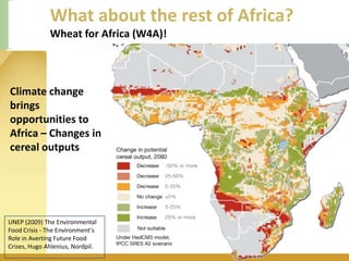 WHEAT - Presentation for Discussion with Donors and Partners - June 2013