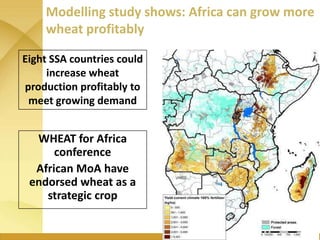 WHEAT - Presentation for Discussion with Donors and Partners - June 2013