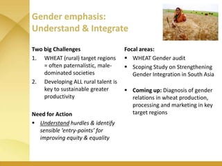 WHEAT - Presentation for Discussion with Donors and Partners - June 2013