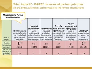 WHEAT - Presentation for Discussion with Donors and Partners - June 2013