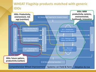 WHEAT - Presentation for Discussion with Donors and Partners - June 2013