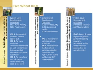 WHEAT - Presentation for Discussion with Donors and Partners - June 2013