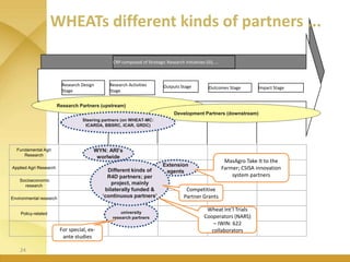 WHEAT - Presentation for Discussion with Donors and Partners - June 2013
