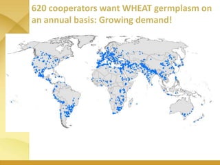 WHEAT - Presentation for Discussion with Donors and Partners - June 2013