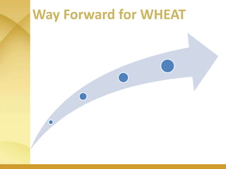 WHEAT - Presentation for Discussion with Donors and Partners - June 2013