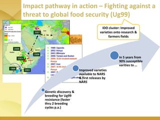 WHEAT - Presentation for Discussion with Donors and Partners - June 2013