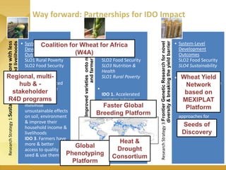 WHEAT - Presentation for Discussion with Donors and Partners - June 2013