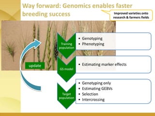 WHEAT - Presentation for Discussion with Donors and Partners - June 2013