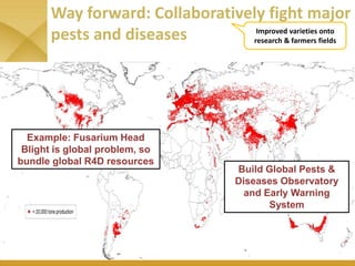 WHEAT - Presentation for Discussion with Donors and Partners - June 2013