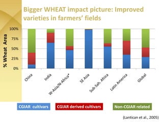 WHEAT - Presentation for Discussion with Donors and Partners - June 2013