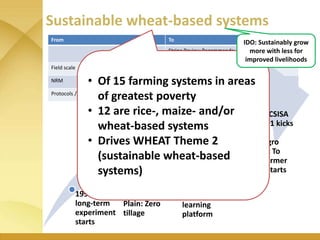 WHEAT - Presentation for Discussion with Donors and Partners - June 2013