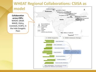 WHEAT - Presentation for Discussion with Donors and Partners - June 2013