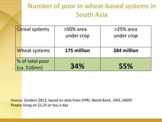 WHEAT - Presentation for Discussion with Donors and Partners - June 2013