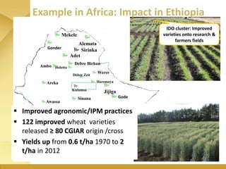 WHEAT - Presentation for Discussion with Donors and Partners - June 2013