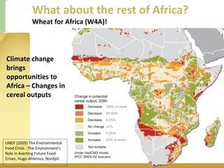 WHEAT - Presentation for Discussion with Donors and Partners - June 2013