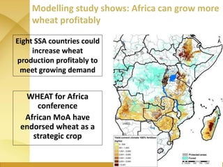 WHEAT - Presentation for Discussion with Donors and Partners - June 2013