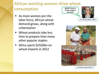 WHEAT - Presentation for Discussion with Donors and Partners - June 2013