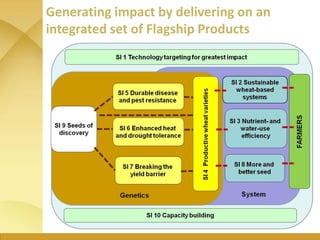 WHEAT - Presentation for Discussion with Donors and Partners - June 2013