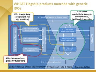WHEAT - Presentation for Discussion with Donors and Partners - June 2013