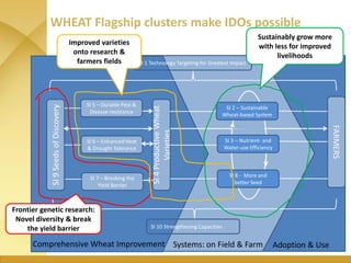 WHEAT - Presentation for Discussion with Donors and Partners - June 2013