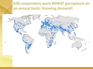WHEAT - Presentation for Discussion with Donors and Partners - June 2013