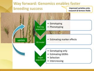 WHEAT - Presentation for Discussion with Donors and Partners - June 2013
