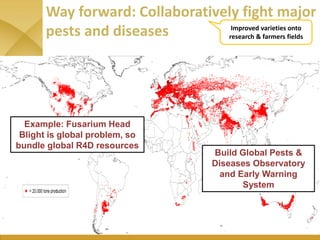 WHEAT - Presentation for Discussion with Donors and Partners - June 2013