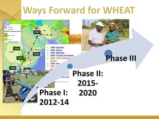 WHEAT - Presentation for Discussion with Donors and Partners - June 2013