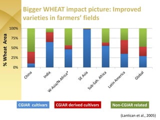 WHEAT - Presentation for Discussion with Donors and Partners - June 2013