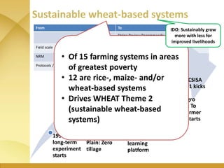 WHEAT Regional Collaborations: CSISA as
model
Collaboration
across CRPs:
WHEAT, GRiSP,
MAIZE, Policy,
Livestock, CCAFS, in...