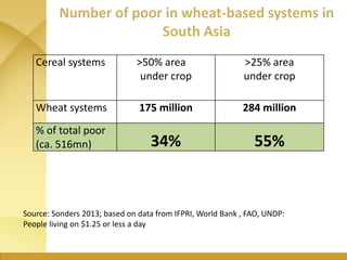 WHEAT - Presentation for Discussion with Donors and Partners - June 2013