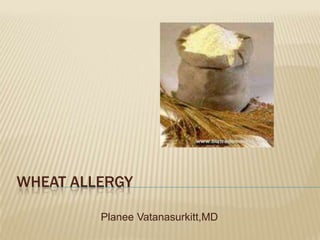 Wheat allergy       PlaneeVatanasurkitt,MD 