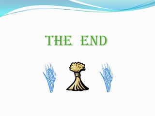THE END