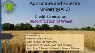 Agriculture and Forestry
University(AFU)
Presented by:
Prabesh Koirala, M.Sc.Ag
Exam Roll No: PLB-06M-2019
Department of Genetics and Plant Breeding
Agriculture & Forestry University, Rampur, Chitwan
Credit Seminar on:
Biofortification of Wheat
 