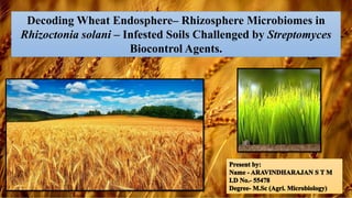 Decoding Wheat Endosphere– Rhizosphere Microbiomes in
Rhizoctonia solani – Infested Soils Challenged by Streptomyces
Biocontrol Agents.
 