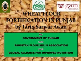 GOVERNMENT OF PUNJAB
PAKISTAN FLOUR MILLS ASSOCIATION
GLOBAL ALLIANCE FOR IMPROVED NUTRITION
 