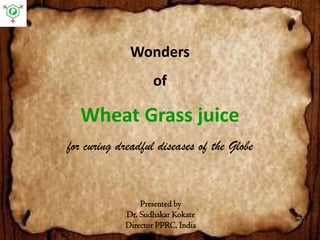 WondersofWheat Grass juicefor curing dreadful diseases of the Globe 
Presented by 
Dr. Sudhakar Kokate 
Director PPRC, India  