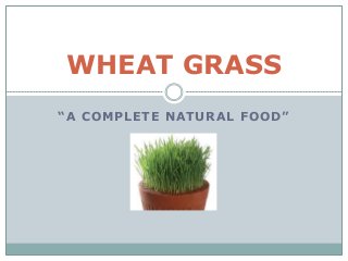 WHEAT GRASS
“A COMPLETE NATURAL FOOD”
 