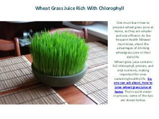 Wheat Grass Juice Rich With Chlorophyll
One must learn how to
prepare wheat grass juice at
home, as they are simpler
and cost efficient. As the
frequent health follower
must know, about the
advantages of drinking
wheatgrass juice in their
daily life.
Wheat grass juice contains
full chlorophyll, protein, and
vital nutrients, making
important for ones
sustaining healthy life. So,
one can ask about, how to
juice wheat grass juice at
home. That is quite easier
in process; some of the tips
are shown below.

 