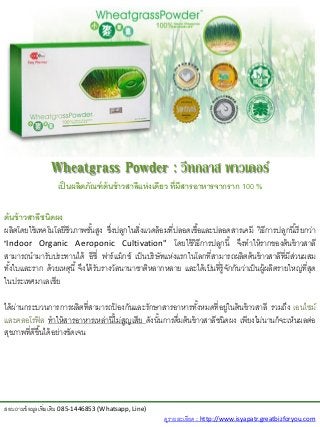 Wheatgrass Powder : วีทกลาส พาวเดอร์
                   เป็ นผลิตภัณฑ์ ต้นข้ าวสาลีแห่ งเดียว ที่มีสารอาหารจากราก 100 %

ต้ นข้ าวสาลีชนิดผง
ผลิตโดยใช้ เทคโนโลยีชีวภาพชันสูง ซึงปลูกในสิ่งแวดล้ อมที่ปลอดเชื ้อและปลอดสารเคมี วิธีการปลูกนี ้เรี ยกว่า
                               ้       ่
"Indoor Organic Aeroponic Cultivation" โดยใช้ วิธีการปลูกนี ้ จึงทาให้ รากของต้ นข้ าวสาลี
สามารถนามารับประทานได้ อีซี่ ฟาร์ แม็กซ์ เป็ นบริษัทแห่งแรกในโลกที่สามารถผลิตต้ นข้ าวสาลีที่มีส่วนผสม
ทังใบและราก ด้ วยเหตุนี ้ จึงได้ รับรางวัลนานาชาติหลากหลาย และได้ เป็ นที่ร้ ูจกกันว่าเป็ นผู้ผลิตรายใหญ่ที่สด
   ้                                                                           ั                             ุ
ในประเทศมาเลเซีย

ได้ ผ่านกระบวนการการผลิตที่สามารถปองกันและรักษาสารอาหารทังหมดที่อยู่ในต้ นข้ าวสาลี รวมถึง เอนไซม์
                                     ้                             ้
และคลอโรฟิ ล ทาให้ สารอาหารเหล่านี ้ไม่สญเสีย ดังนันการดื่มต้ นข้ าวสาลีชนิดผง เพียงไม่นานก็จะเห็นผลต่อ
                                        ู          ้
สุขภาพที่ดีขึ ้นได้ อย่างชัดเจน




สอบถามข้ อมูลเพิ่มเติม 085-1446853 (Whatsapp, Line)
                                                        ดูรายละเอียด : http://www.isyapatr.greatbizforyou.com
 
