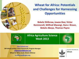 Wheat for Africa: Potentials
and Challenges for Harnessing
Opportunities
Bekele Shiferaw, Jawoo Koo; Victor
Kommerell, Wilfred Mwangi, Hans J Braun,
Bekele Abeyo, Thomas Payne
http://wheat.org/
CRP Wheat contact: Victor Kommerell, Program Manager:
v.kommerell@cgiar.org
Wheat for Africa study: Bekele Shiferaw
b.shiferaw@cgiar.org
Africa Agriculture Science
Week 2013
 
