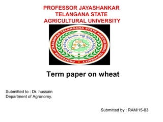 PROFESSOR JAYASHANKAR
TELANGANA STATE
AGRICULTURAL UNIVERSITY
Term paper on wheat
Submitted to : Dr. hussain
Department of Agronomy.
Submitted by : RAM/15-03
 