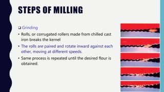 STEPS OF MILLING
 Grinding
• Rolls, or corrugated rollers made from chilled cast
iron breaks the kernel
• The rolls are paired and rotate inward against each
other, moving at different speeds.
• Same process is repeated until the desired flour is
obtained.
 