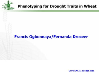 Phenotyping for Drought Traits in Wheat
Francis Ogbonnaya/Fernanda Dreceer
GCP AGM 21-25 Sept 2011
 