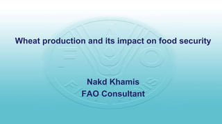 Wheat production and its impact on food security
Nakd Khamis
FAO Consultant
 