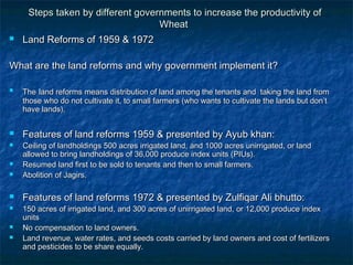 Wheat production in pakistan presentation | PPT